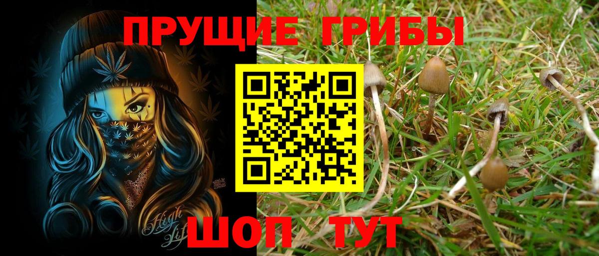 Избербаш  Псилоцибиновые грибы MAGIC MUSHROOMS  Вход с VPN 